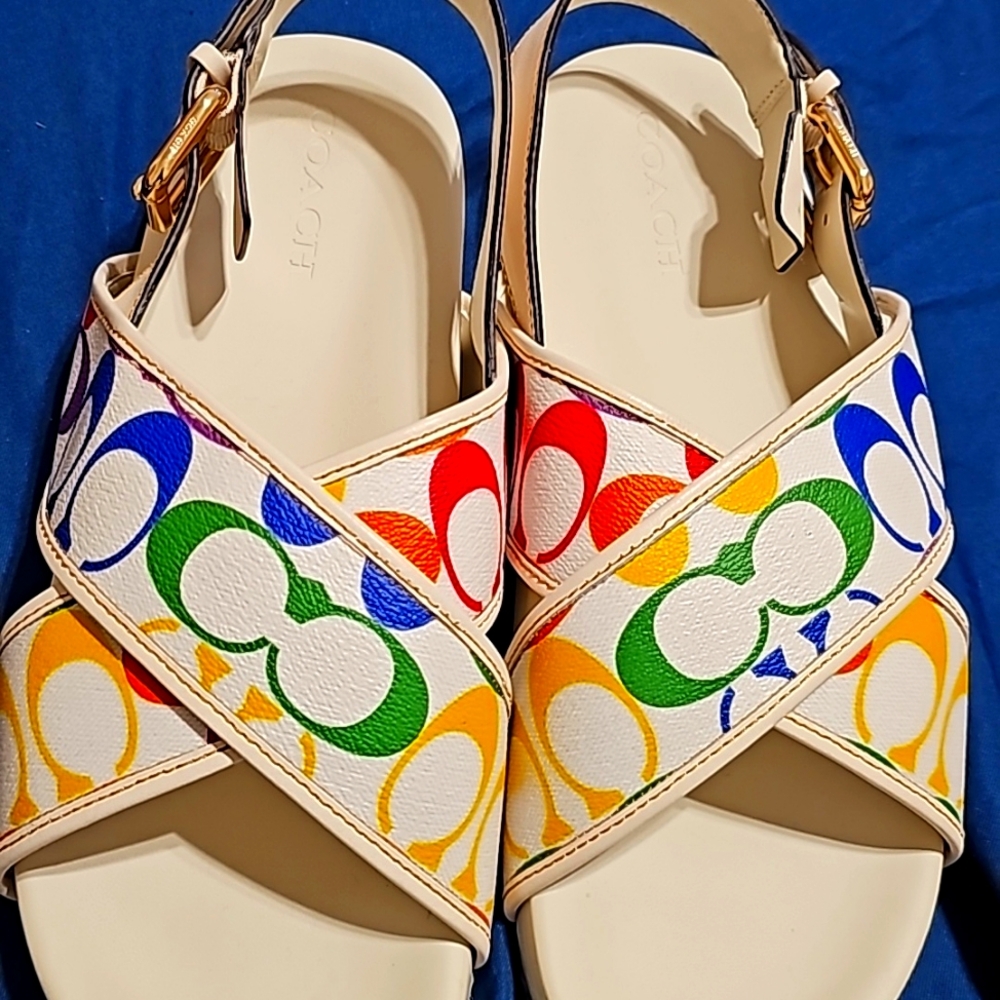Coach Adora Sandal In Rainbow Signature Canvas 11